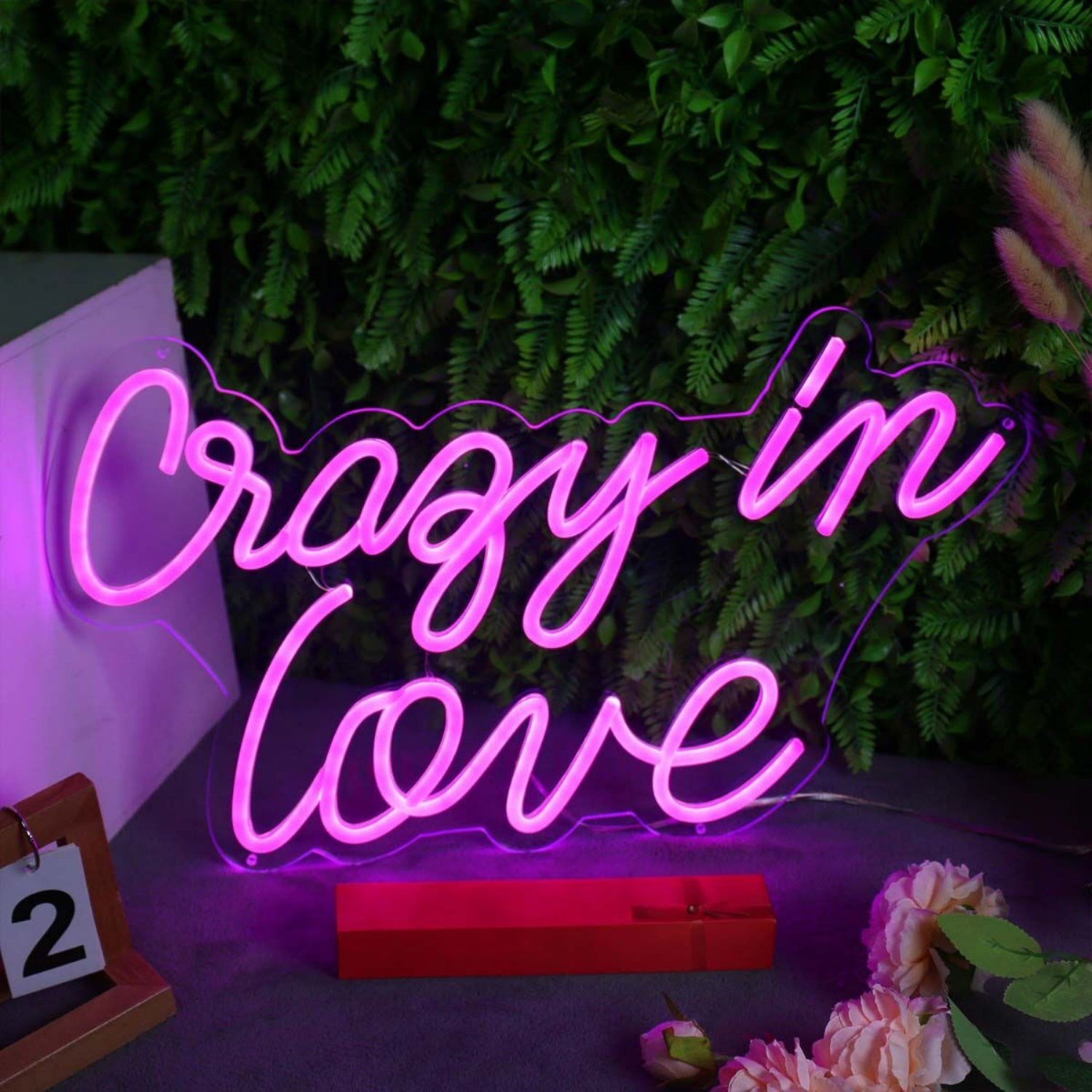 Crazy In Love Led Neon Sign | Shineneon