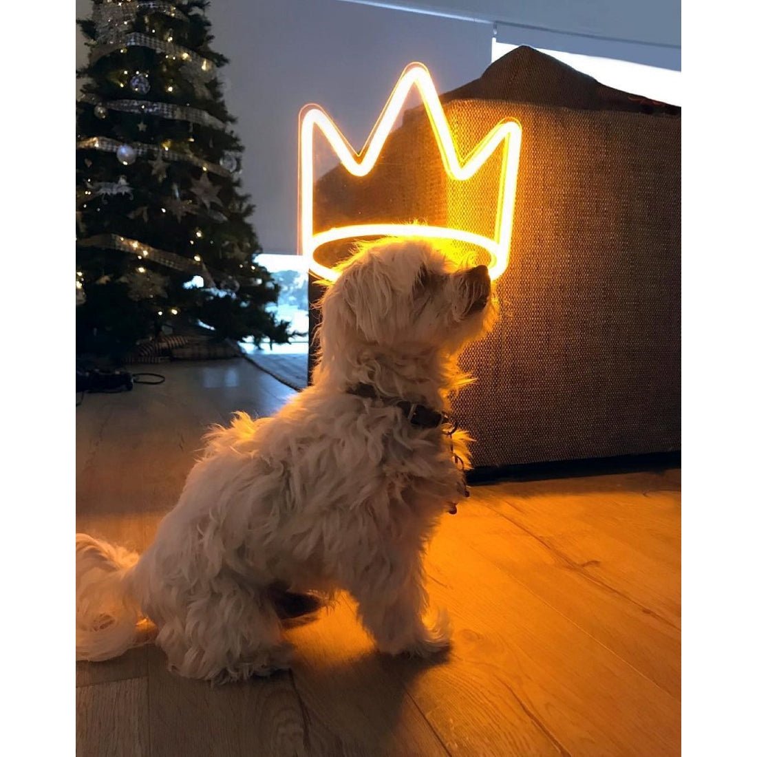 Crown Led Sign Business Neon Signs Wall Art Decor - Shineneon