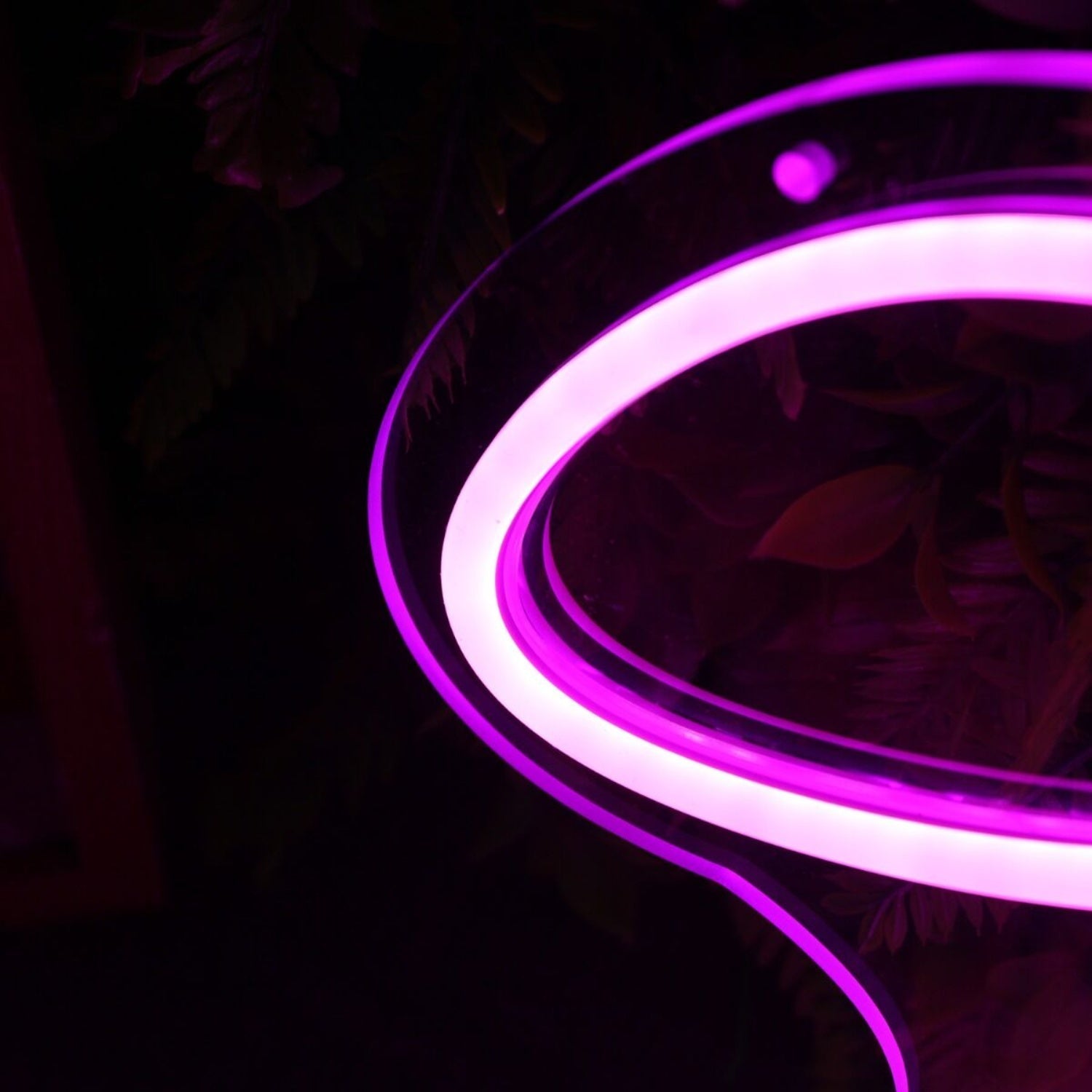 Crows Nest Purple Led Neon Sign - Shineneon