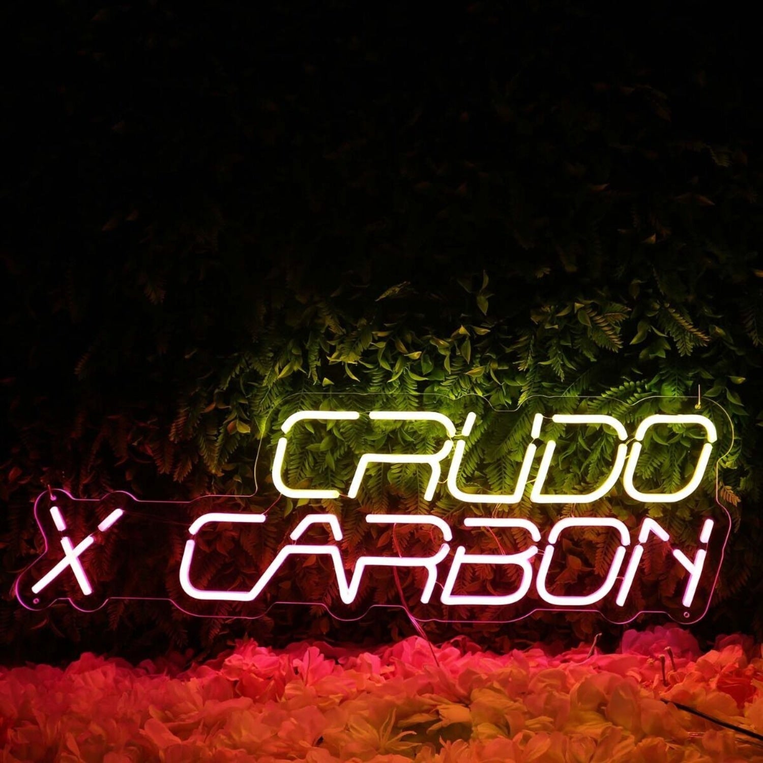 Crudo Carbon Custom Led Neon Sign - Shineneon