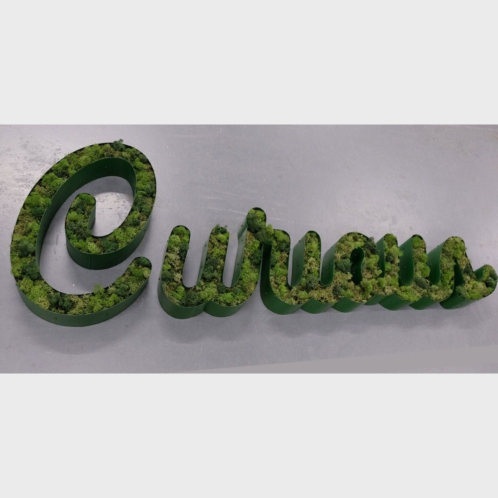 Curious 3D Moss Letter Sign - Shineneon