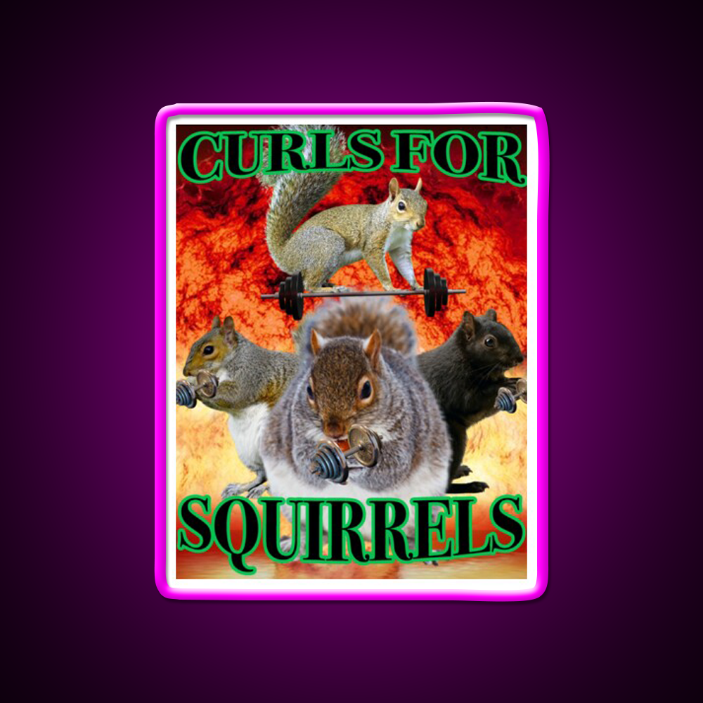 Curls For Squirrels Gym Fitness Led Neon Sign Rgb Color - Neon sign mounted on wall in room