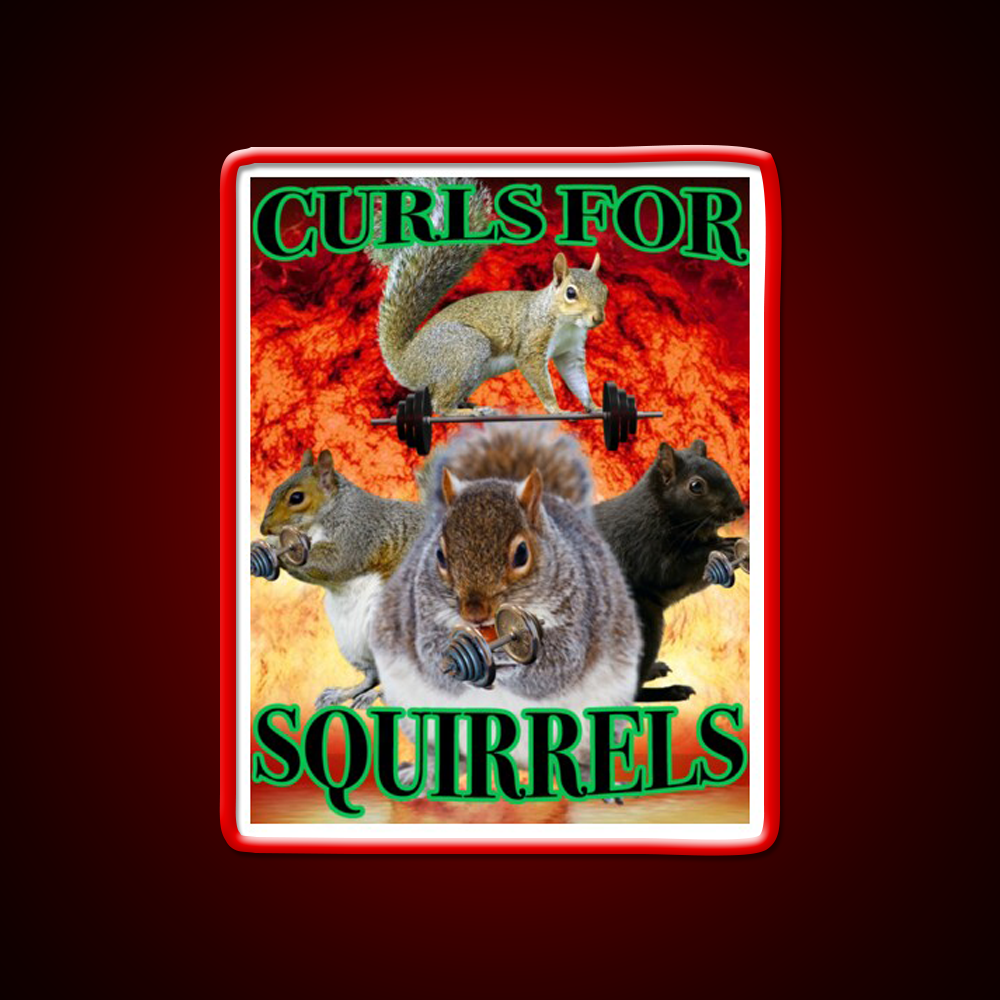 Curls For Squirrels Gym Fitness Led Neon Sign Rgb Color - LED neon sign view 10