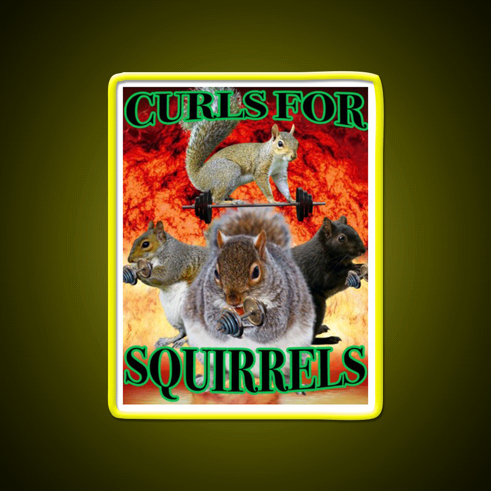 Curls For Squirrels Gym Fitness Led Neon Sign Rgb Color - Custom LED neon sign front view