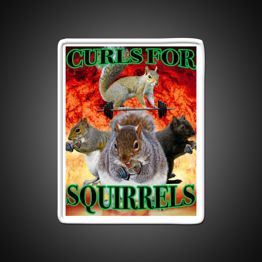 Curls For Squirrels Gym Fitness Led Neon Sign Rgb Color - LED neon sign view 11