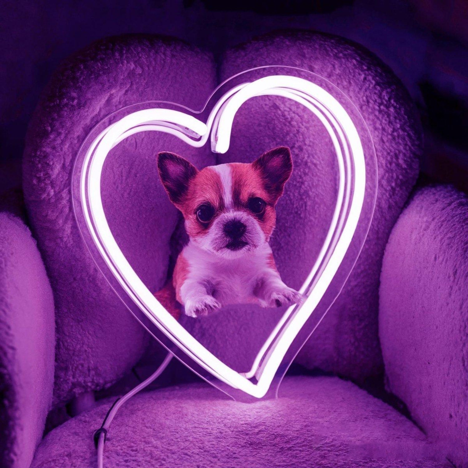 Custom Dog Heart White Led Neon Sign For Pet Lover Home Decor | Shineneon