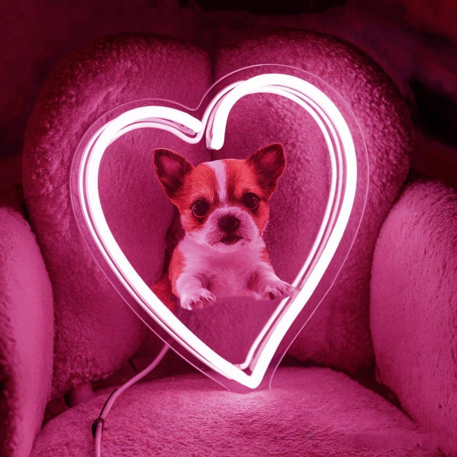 Custom Dog Heart White Led Neon Sign For Pet Lover Home Decor | Shineneon