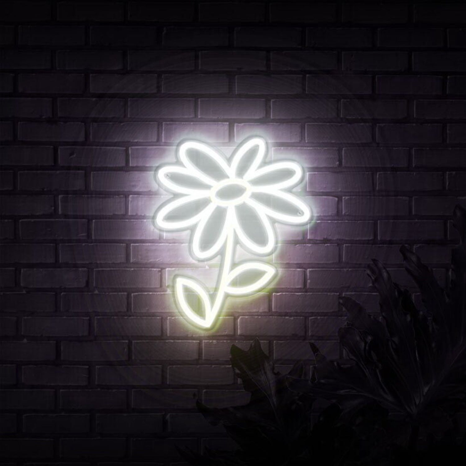 Daisy Led Neon Sign For Floral And Elegant Decor | Shineneon