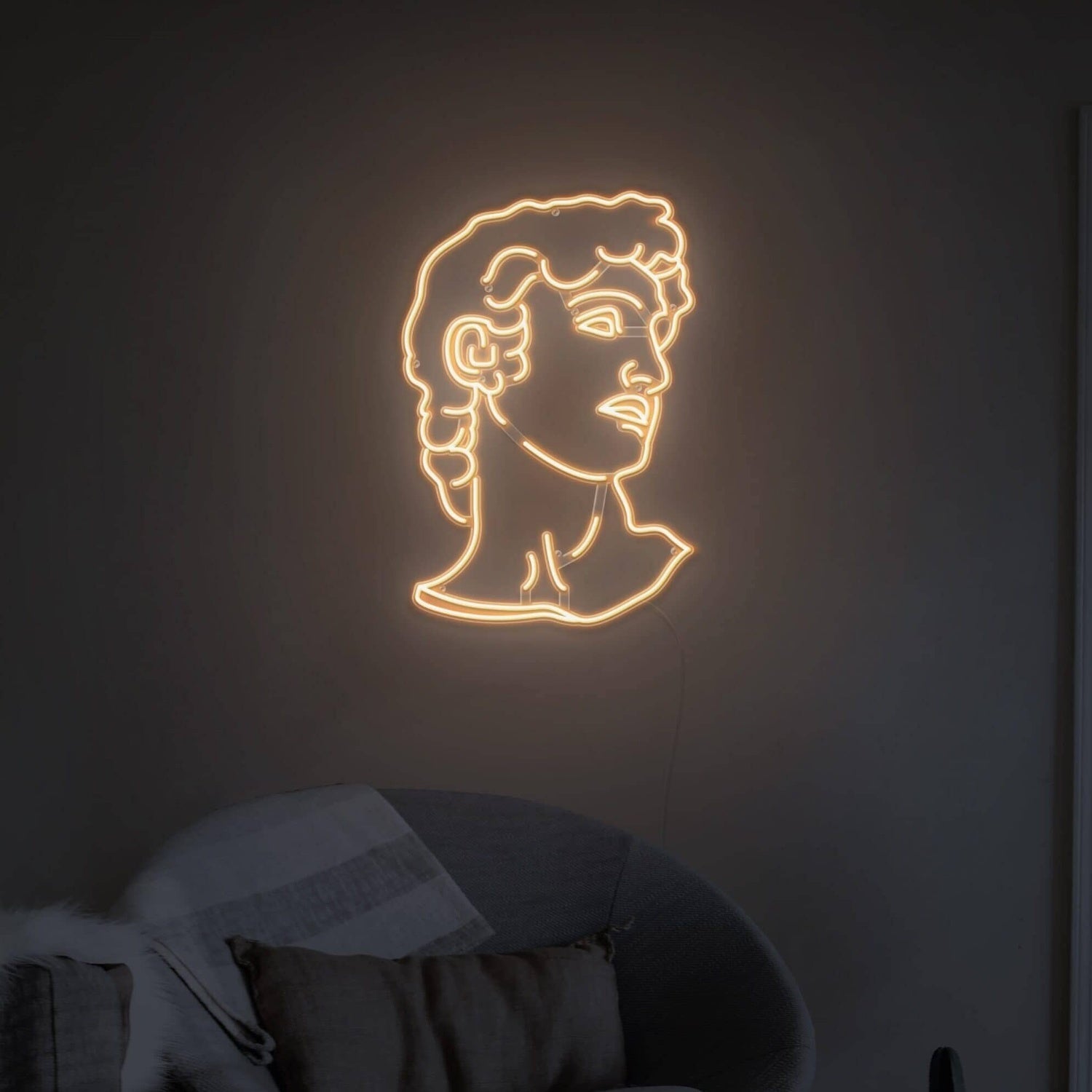 David Led Neon Sign Wall Art | Shineneon