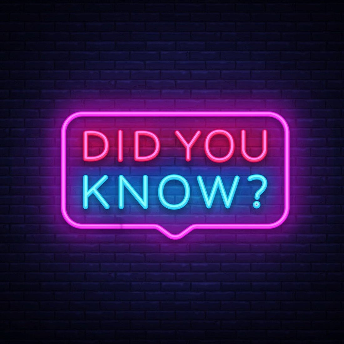 Did You Know Text Led Sign Business Neon Sign - Shineneon