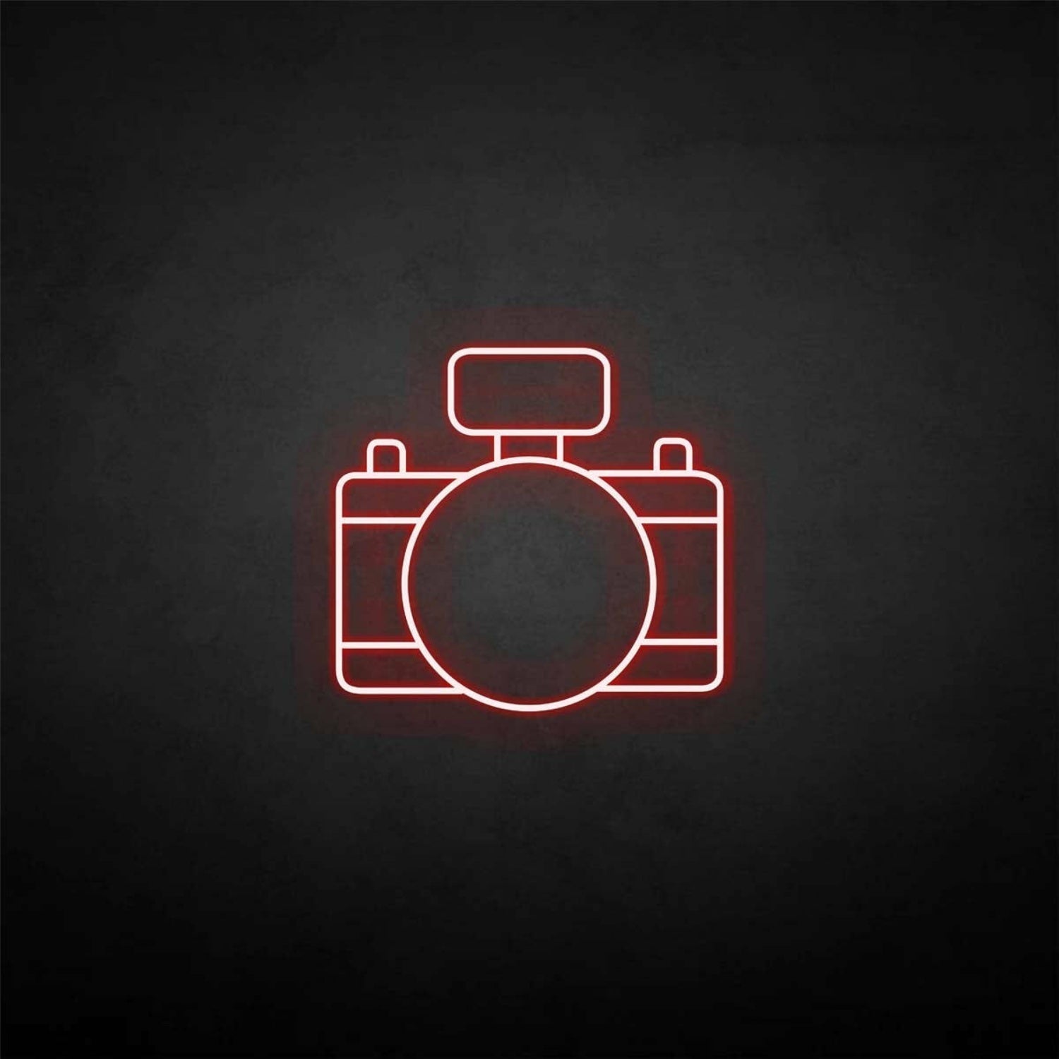 Digital Camera Led Neon Sign - Shineneon