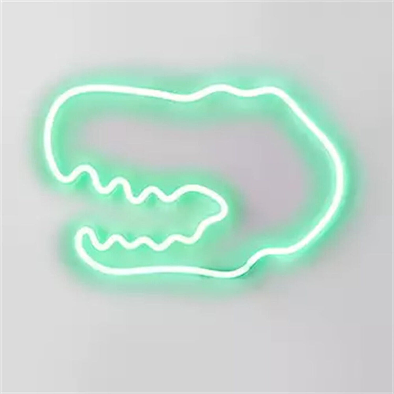 Dinosaur Green Kids Led Neon Sign For Home Decor | Shineneon