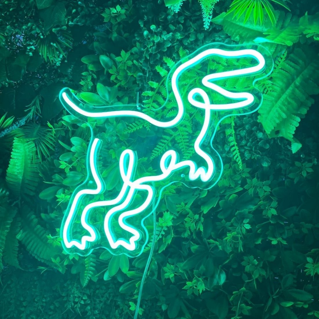 Dinosaur T Rex Neon Signs Neon Lights Led Neon Signs - Shineneon