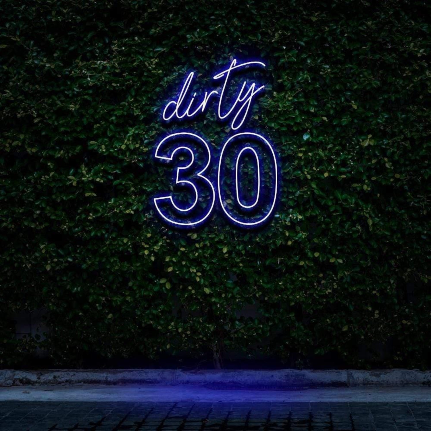 Dirty 30 Pink Led Neon Sign For Birthday Party With Green Wall Background | Shineneon