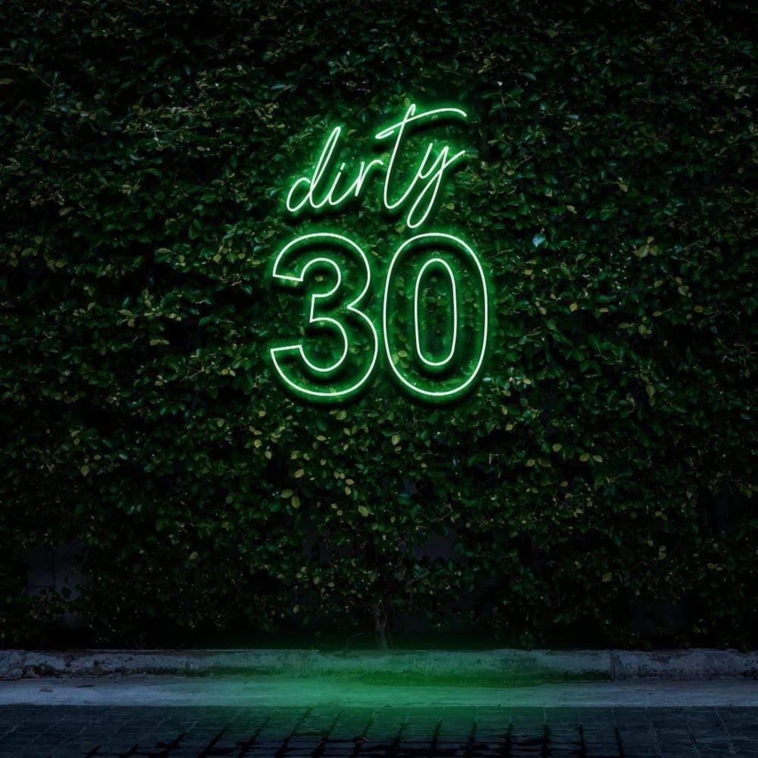 Dirty 30 Pink Led Neon Sign For Birthday Party With Green Wall Background | Shineneon