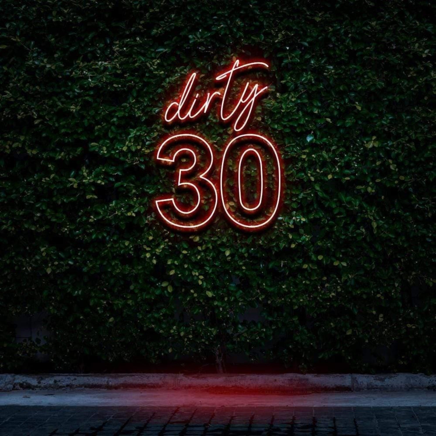 Dirty 30 Pink Led Neon Sign For Birthday Party With Green Wall Background | Shineneon