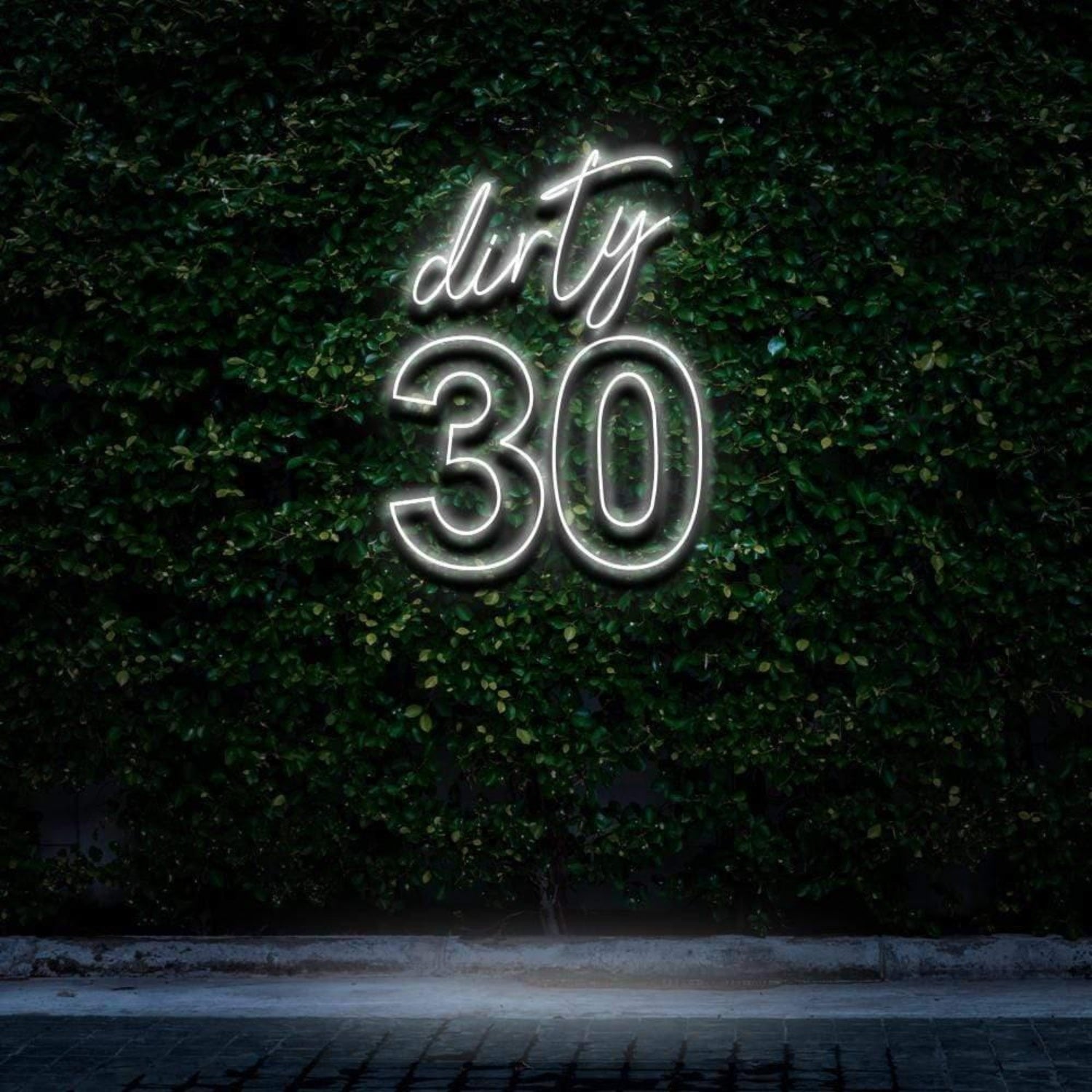 Dirty 30 Pink Led Neon Sign For Birthday Party With Green Wall Background | Shineneon