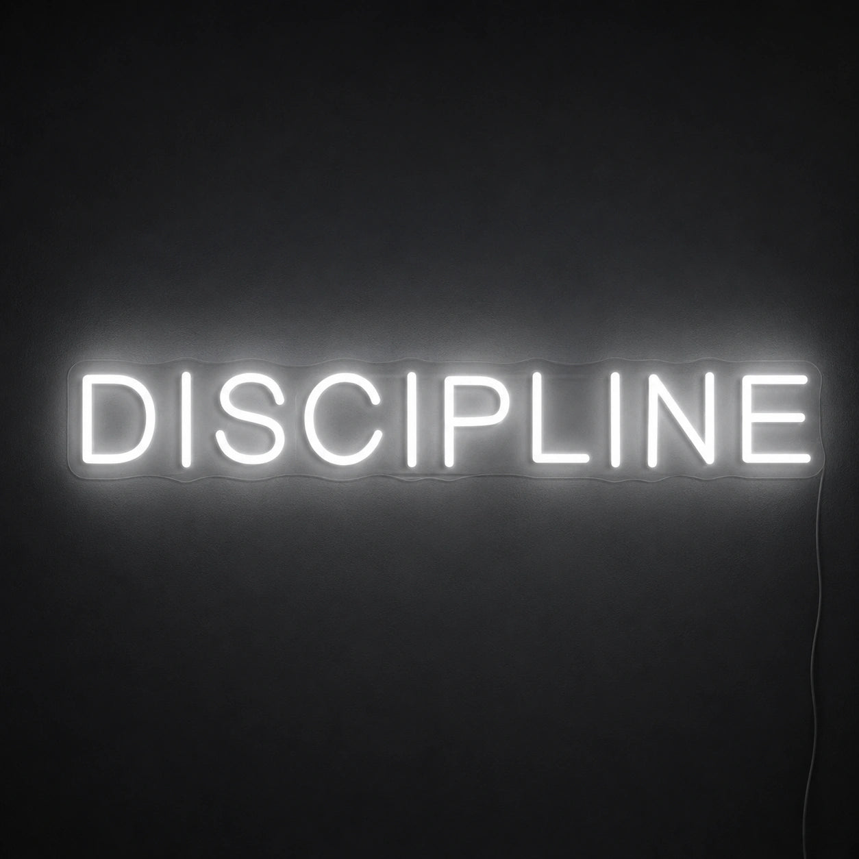 Discipline Neon Sign LED Neon Sign main product image