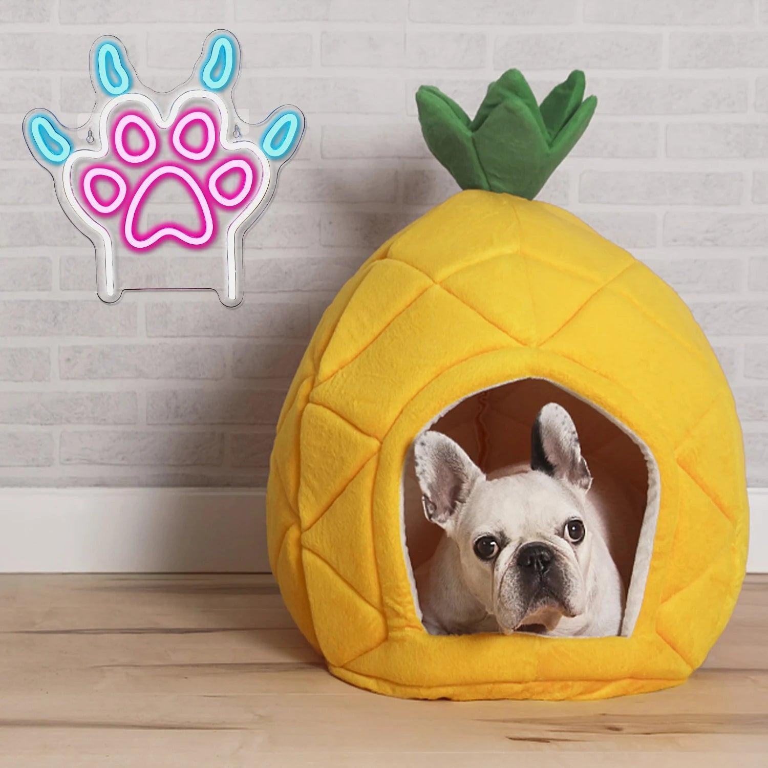 Dog Paw Animal Patterns Pink Blue Led Neon Sign For Indoor Pet Decor | Shineneon