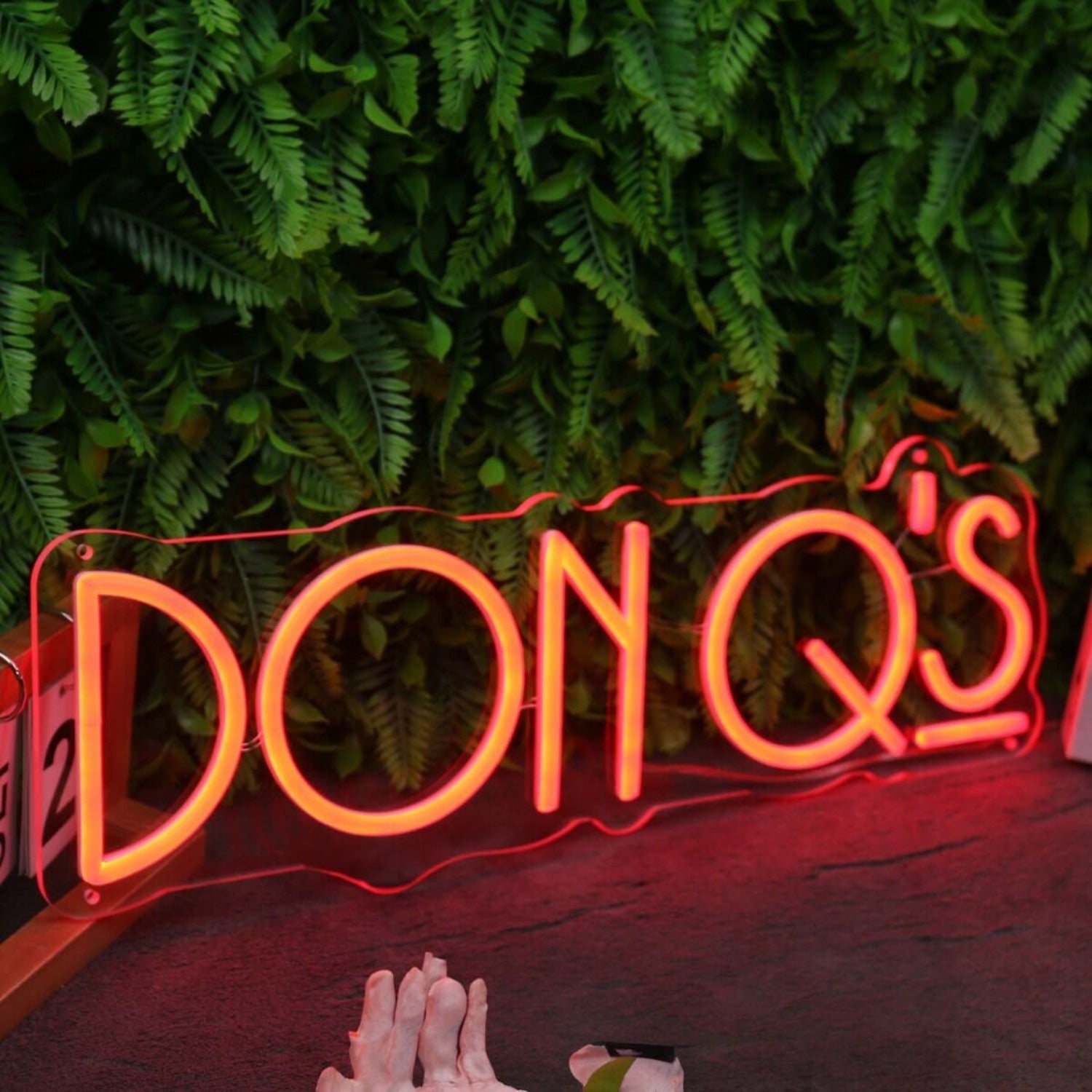 Don Qs Orange Led Neon Sign - Shineneon
