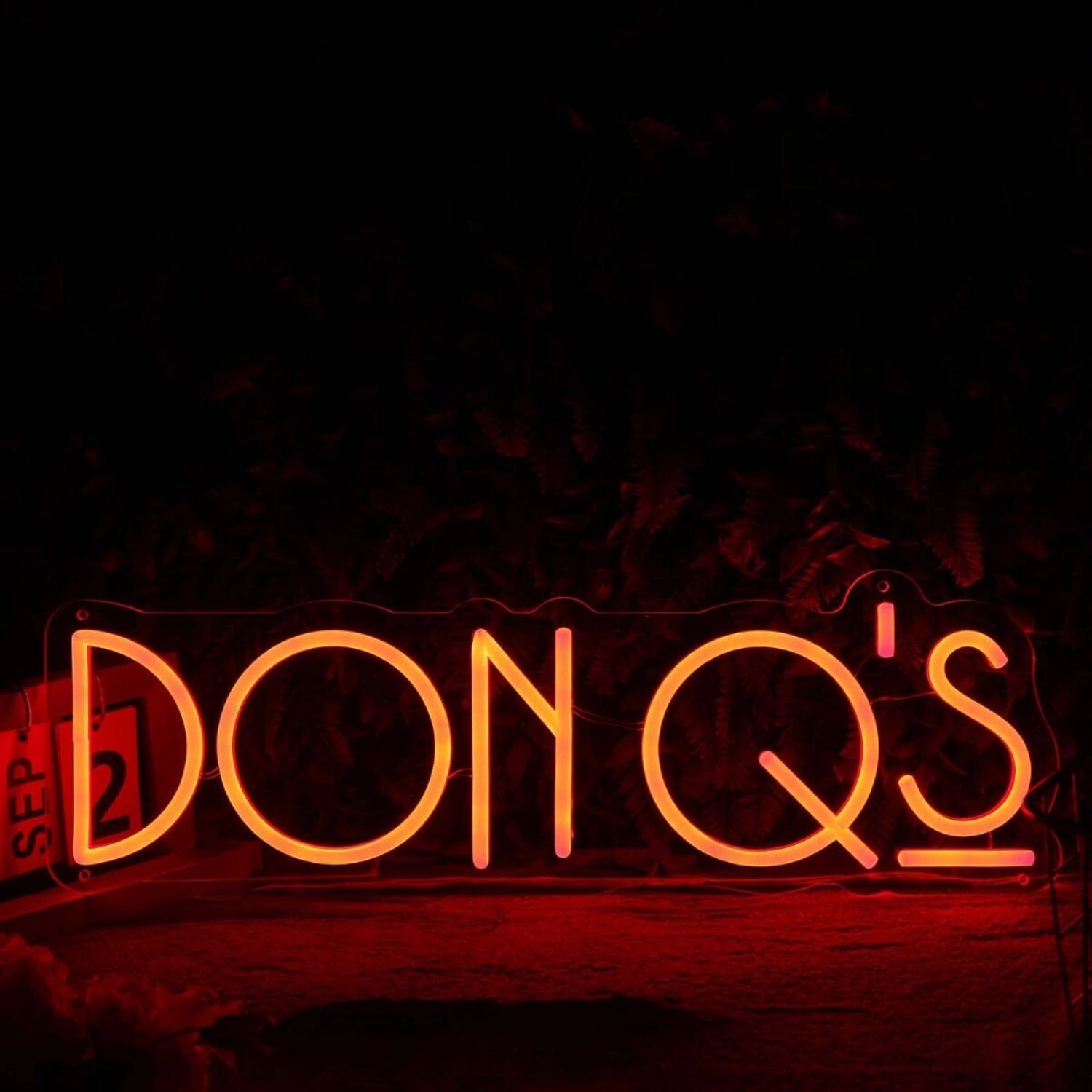 Don Qs Orange Led Neon Sign - Shineneon