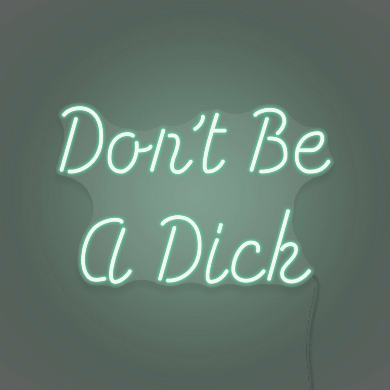Dont Be A Dick Neon Humor And Straight Talk - Shineneon