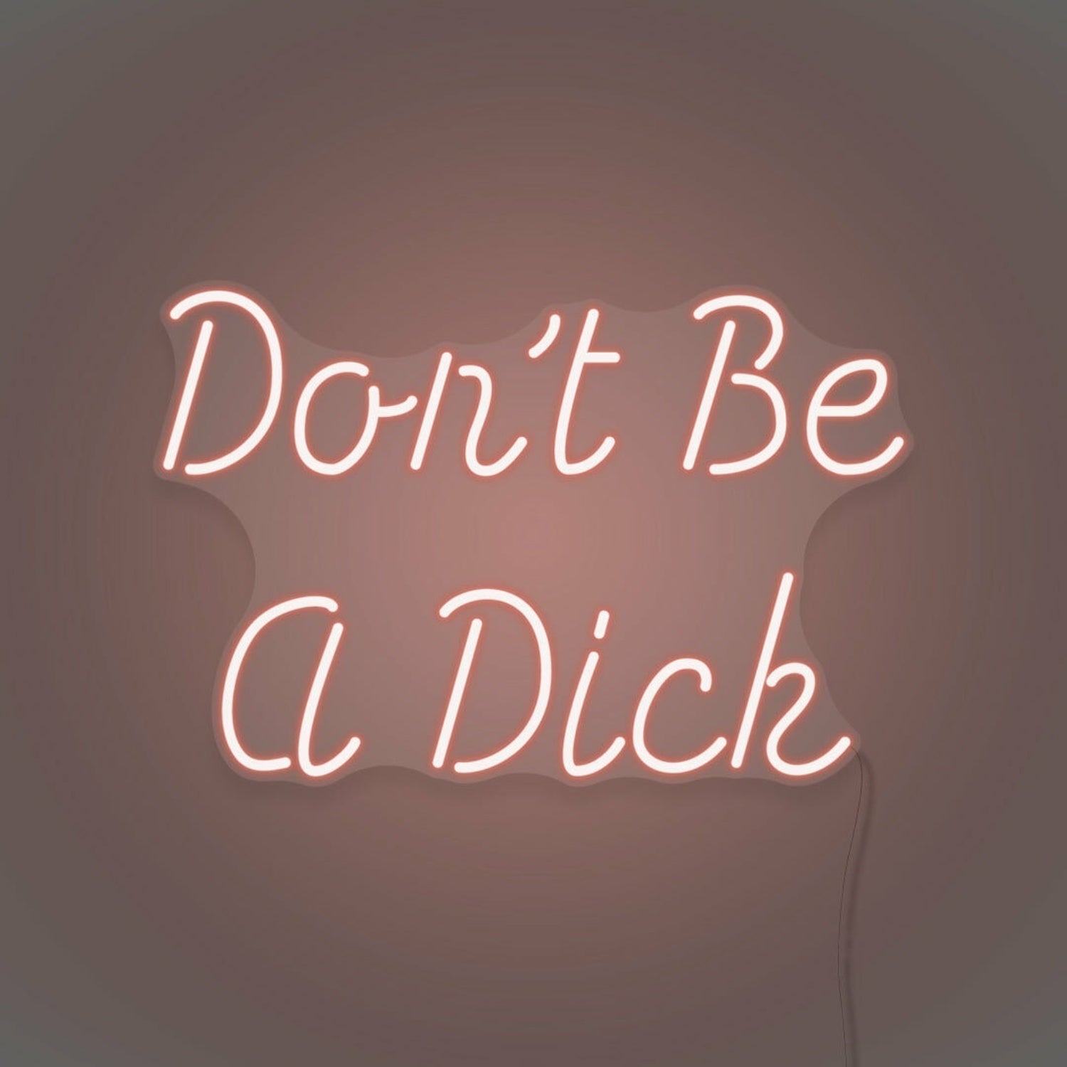 Dont Be A Dick Neon Humor And Straight Talk - Shineneon
