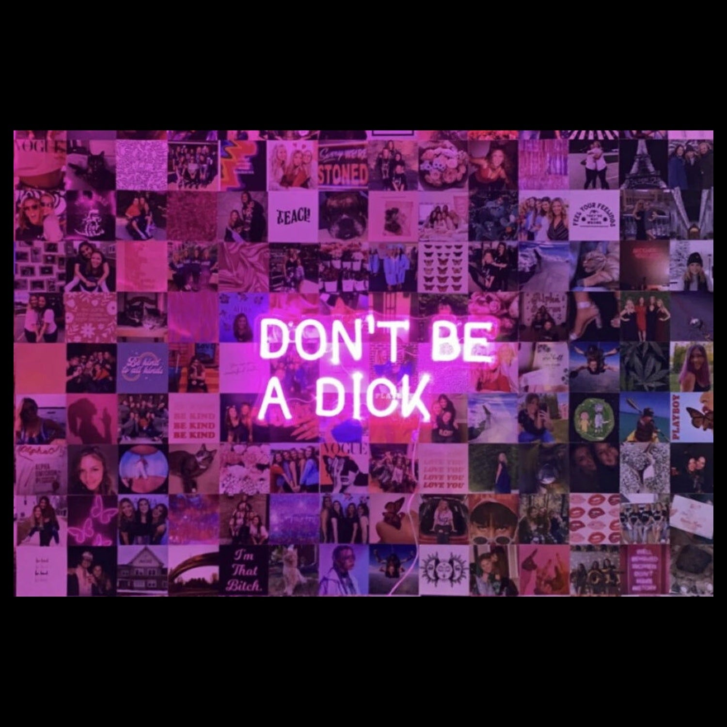 Dont Be A Dick Neon Sign | Shineneon