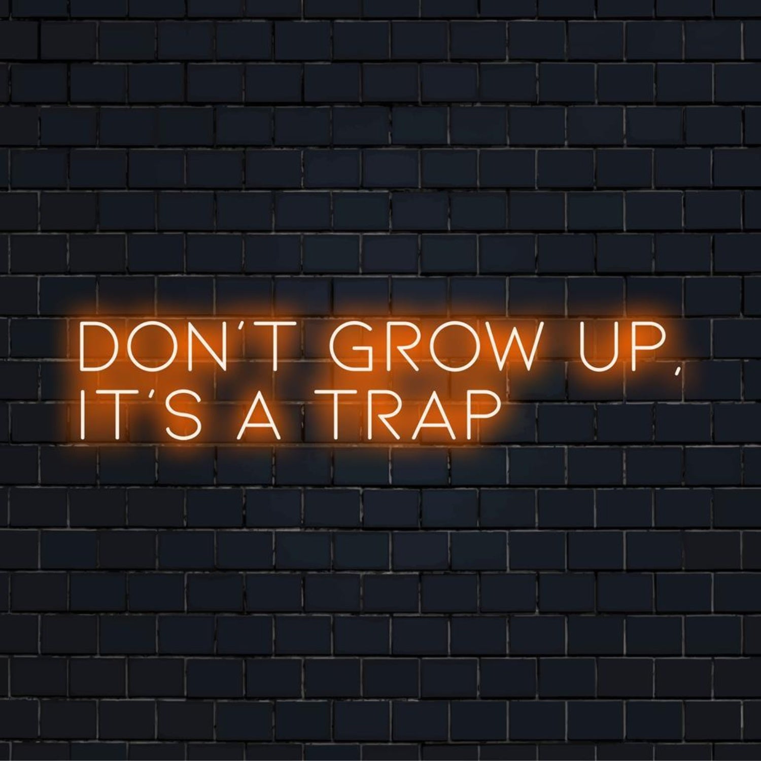 Dont Grow Up Its A Trap Amber Glow Led Neon Sign For Cafe Bar Studio Wall Decor | Shineneon