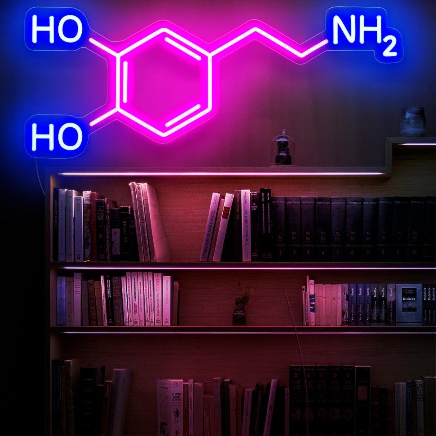 Dopamine Molecule Pink And Blue Led Neon Sign For Bookshelf Decor | Shineneon