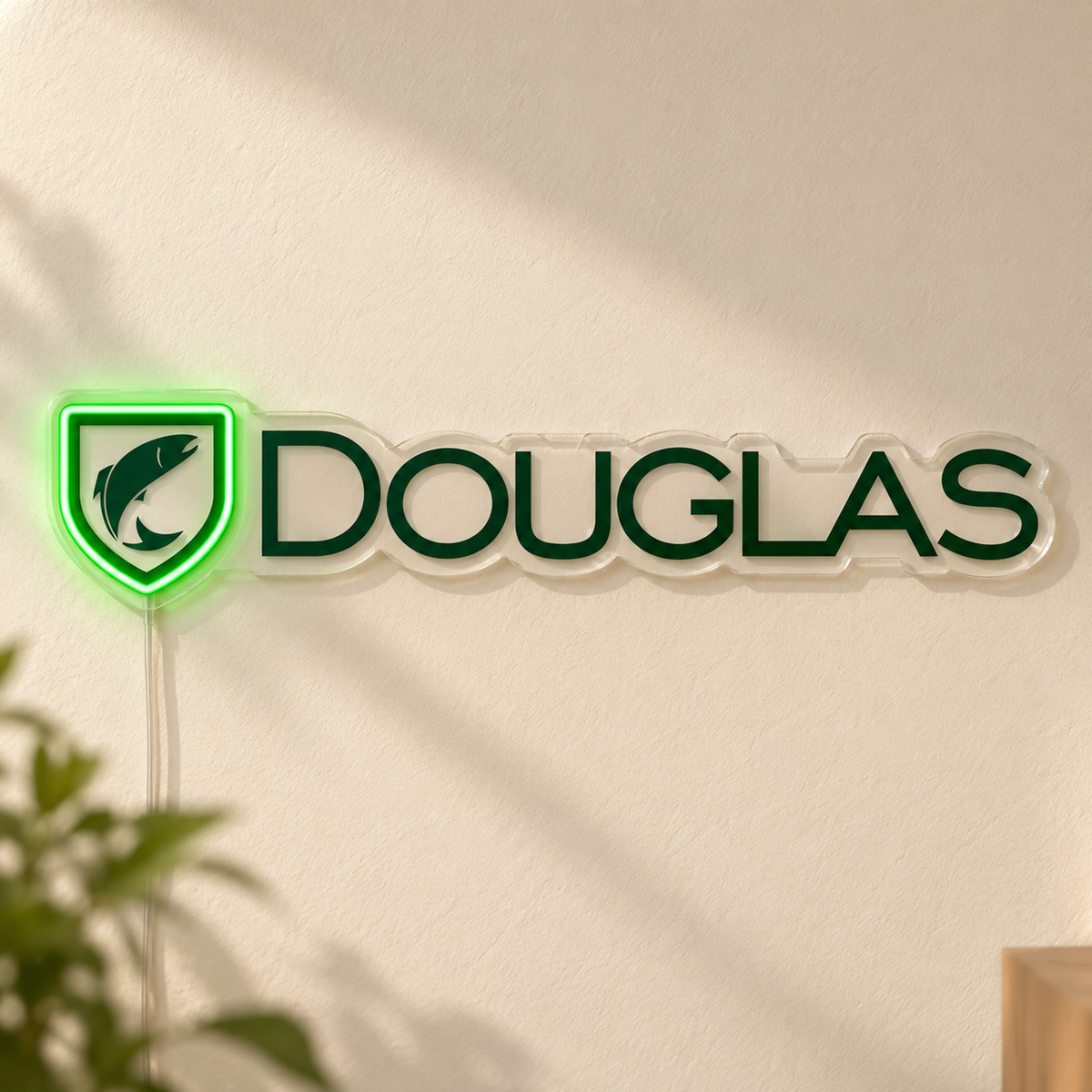 Lizzi's Custom LED Neon Sign - Douglas 18inch