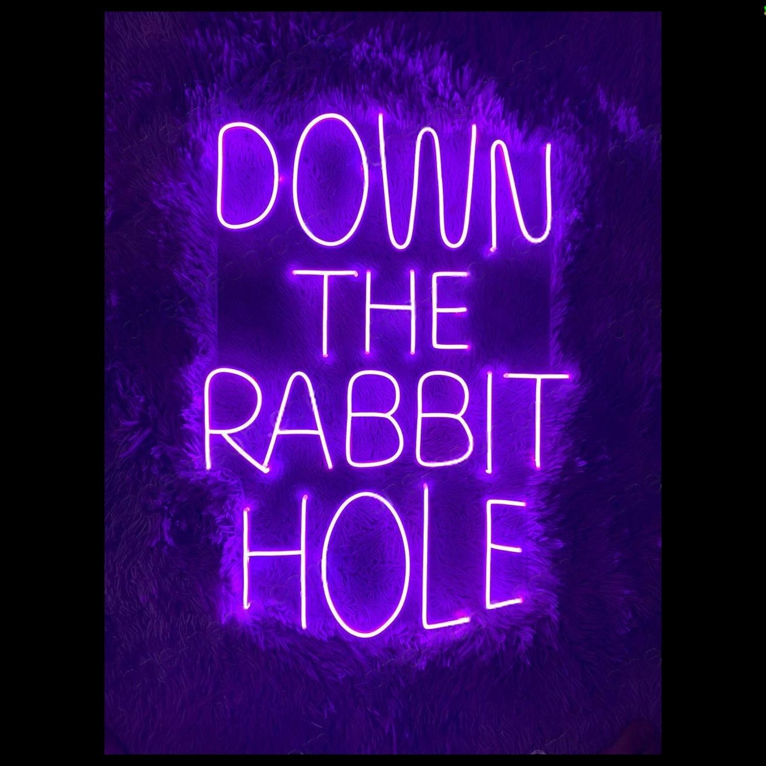 Down The Rabbit Hole Purple Led Neon Sign With Velvet Background For Bar Decor | Shineneon