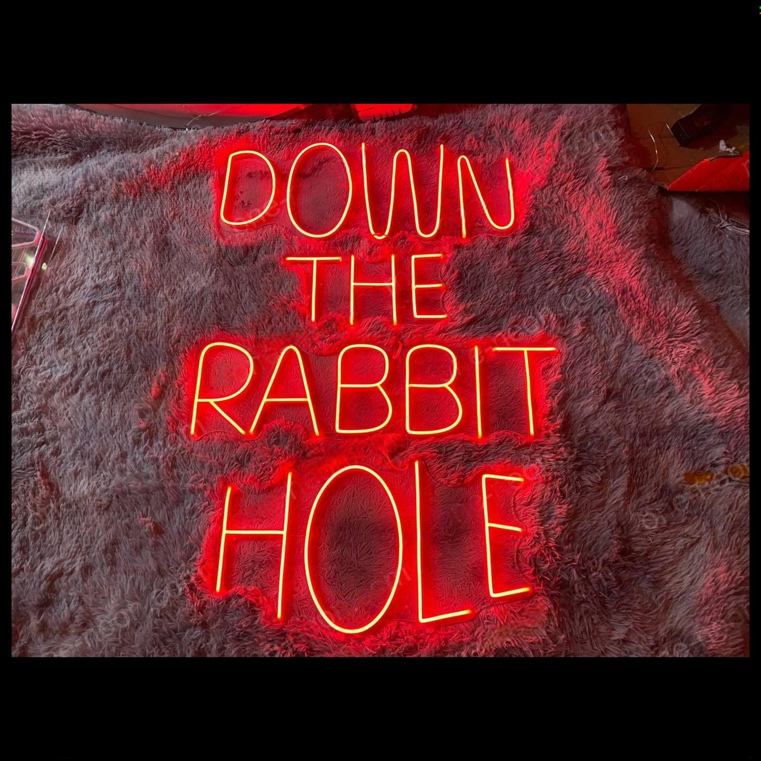 Down The Rabbit Hole Purple Led Neon Sign With Velvet Background For Bar Decor | Shineneon