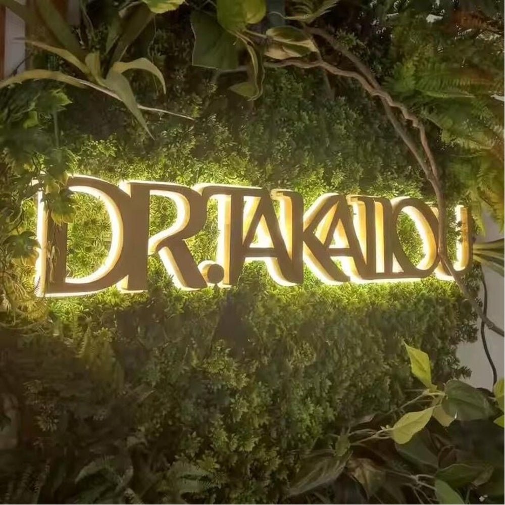 Dr Takallou 3D Backlit Channel Letters Led Light Sign - Shineneon