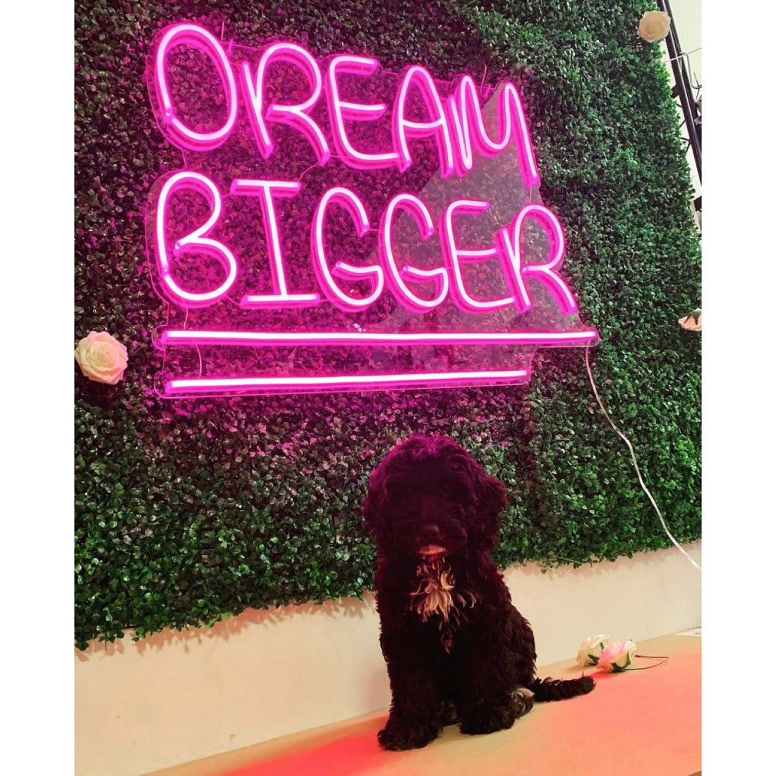 Dream Bigger Led Sign Business Neon Sign - Shineneon