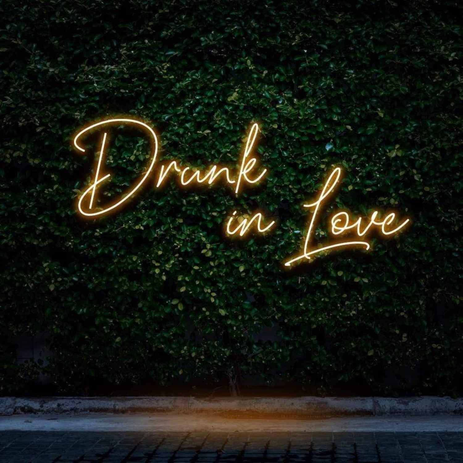Drunk In Love Pink Led Neon Sign For Outdoor Bar Or Cafe Decor | Shineneon
