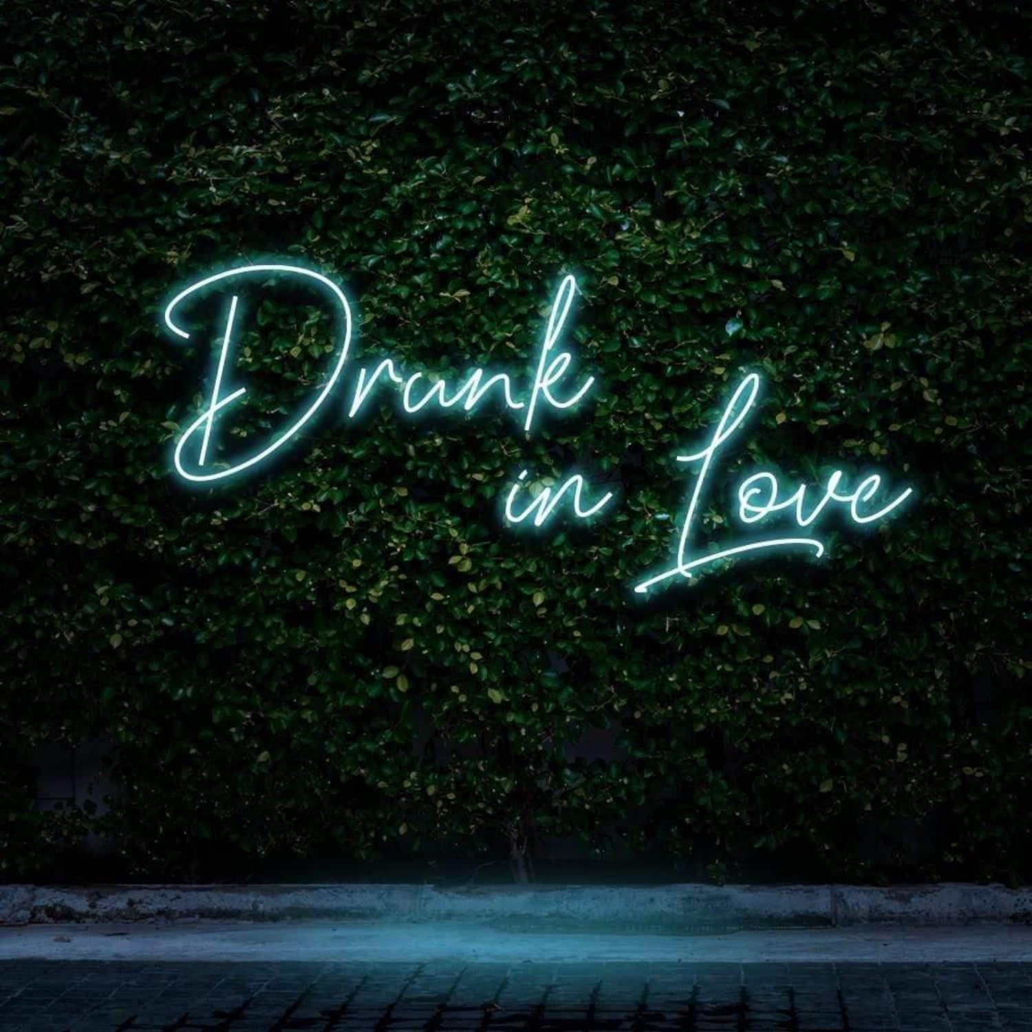 Drunk In Love Pink Led Neon Sign For Outdoor Bar Or Cafe Decor | Shineneon