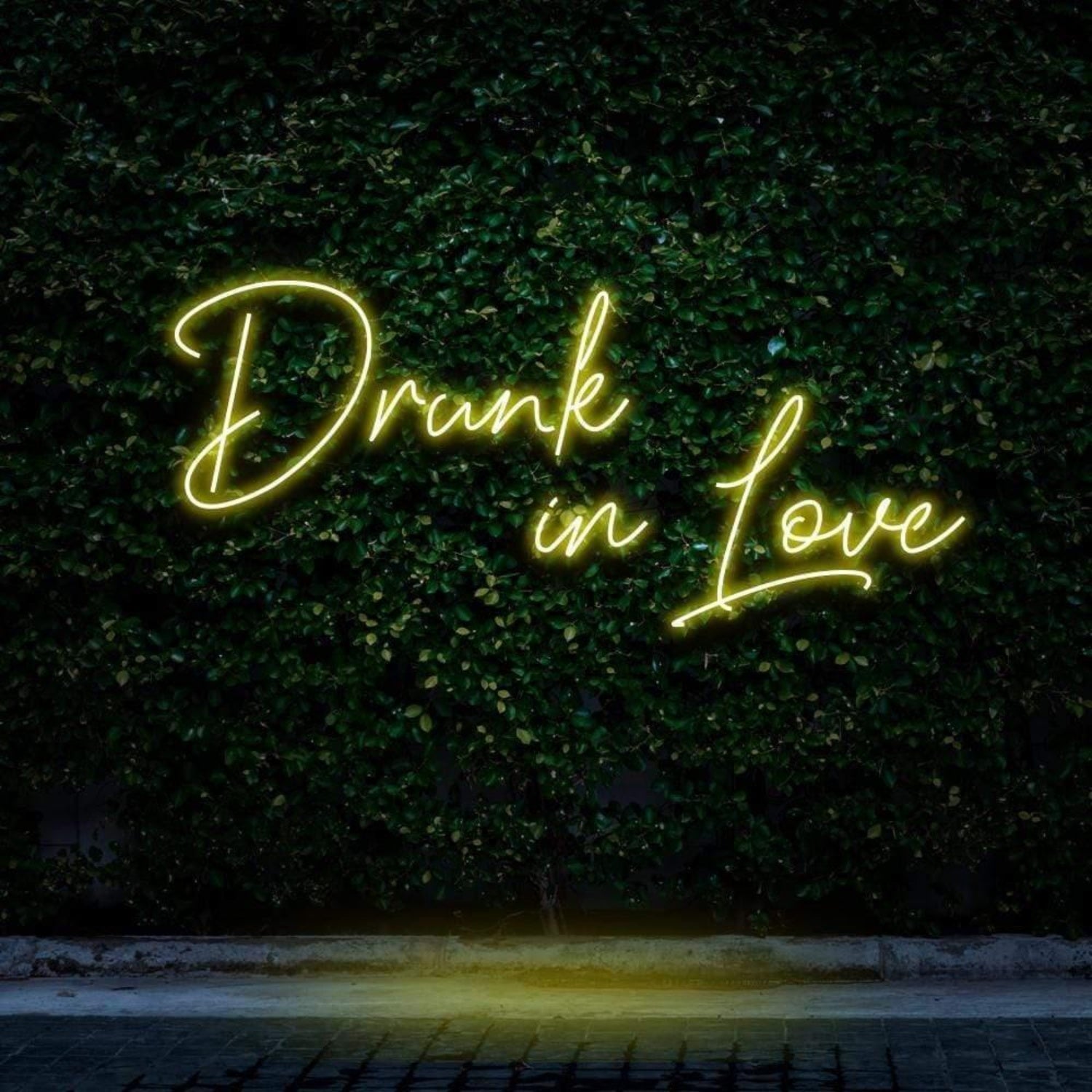 Drunk In Love Pink Led Neon Sign For Outdoor Bar Or Cafe Decor | Shineneon