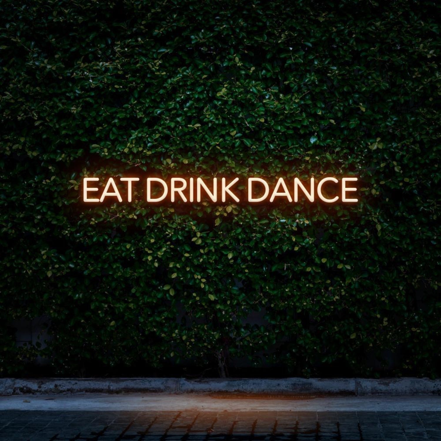 Eat Drink Dance Green Led Neon Sign For Bar Restaurant Nightclub | Shineneon