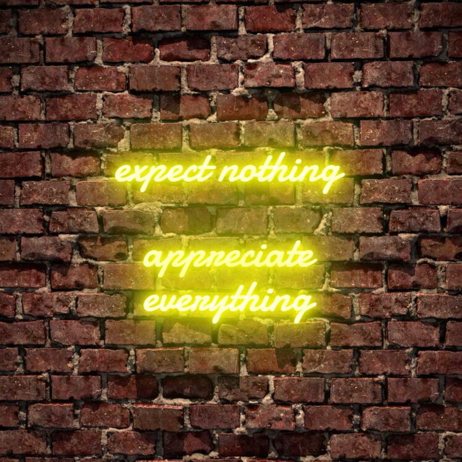 Expect Nothing Appreciate Everything Led Neon Sign | Shineneon