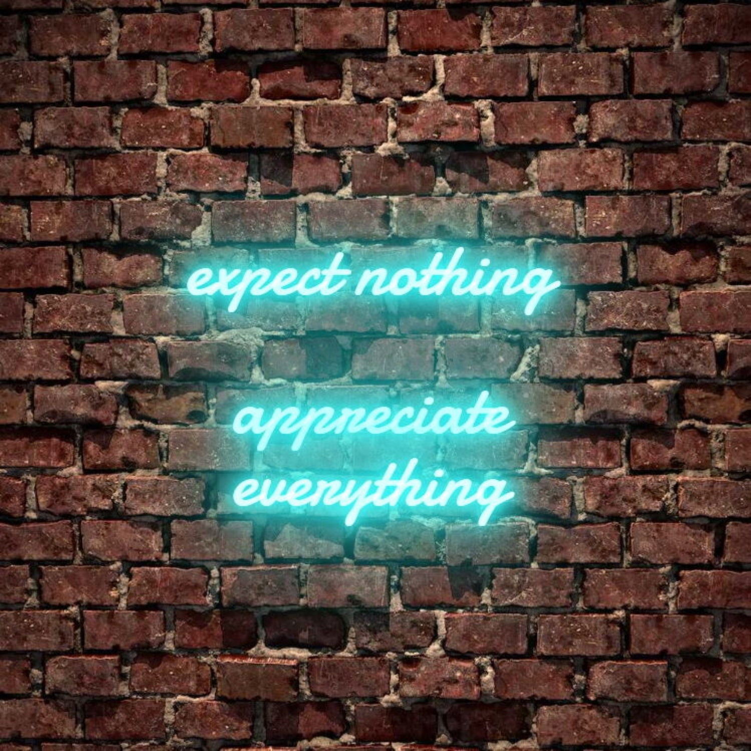 Expect Nothing Appreciate Everything Led Neon Sign | Shineneon