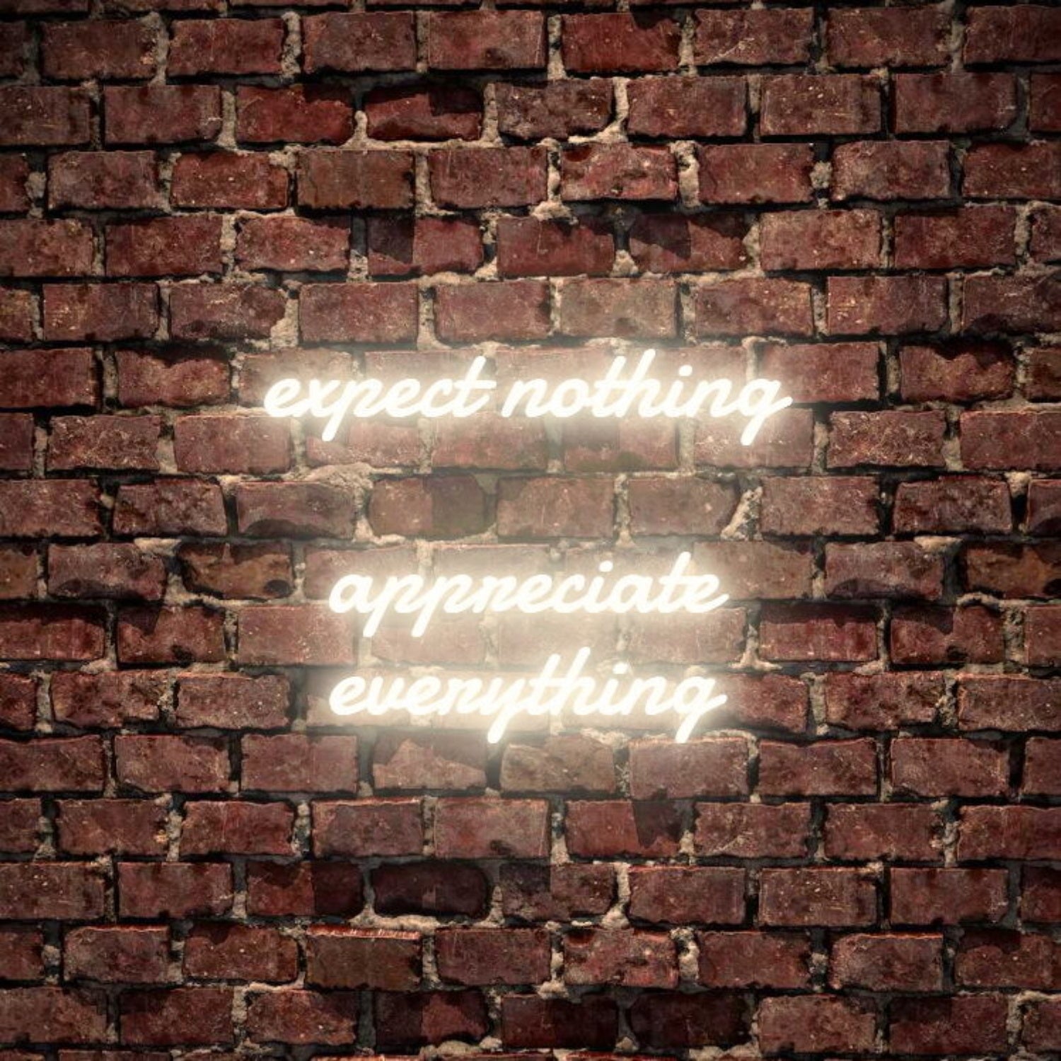 Expect Nothing Appreciate Everything Led Neon Sign | Shineneon