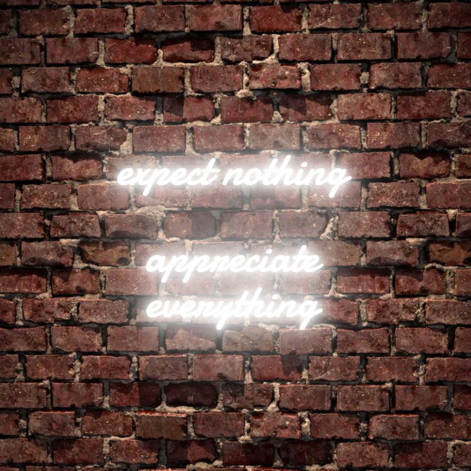 Expect Nothing Appreciate Everything Led Neon Sign | Shineneon