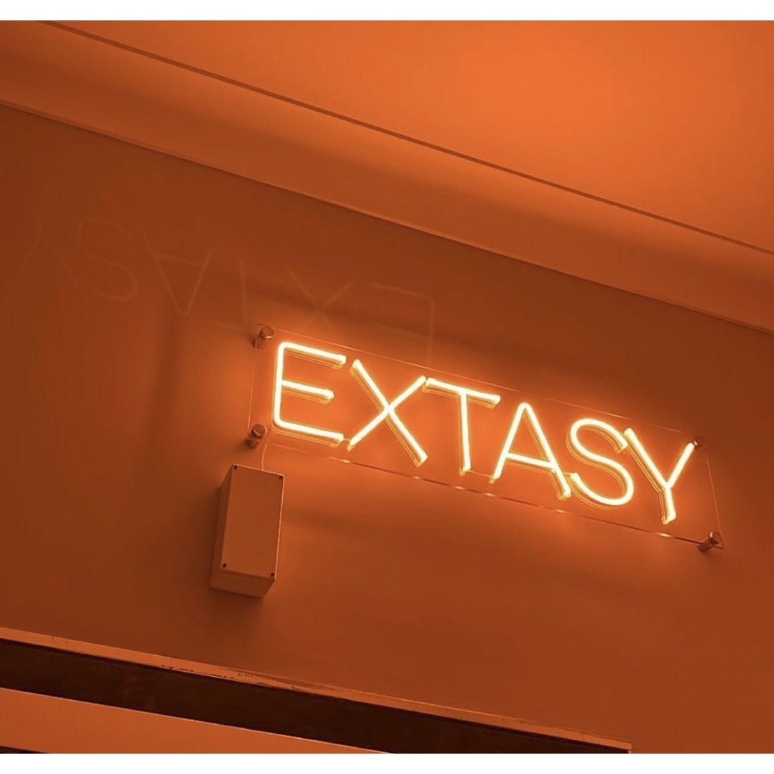Extasy Led Sign Business Neon Sign - Shineneon