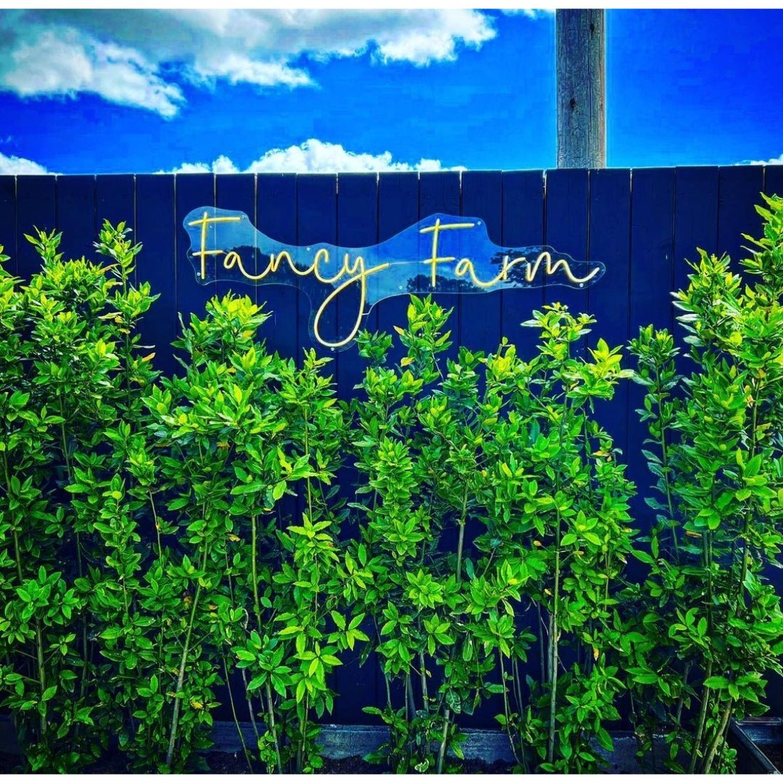 Fancy Farm Led Sign Business Neon Sign - Shineneon