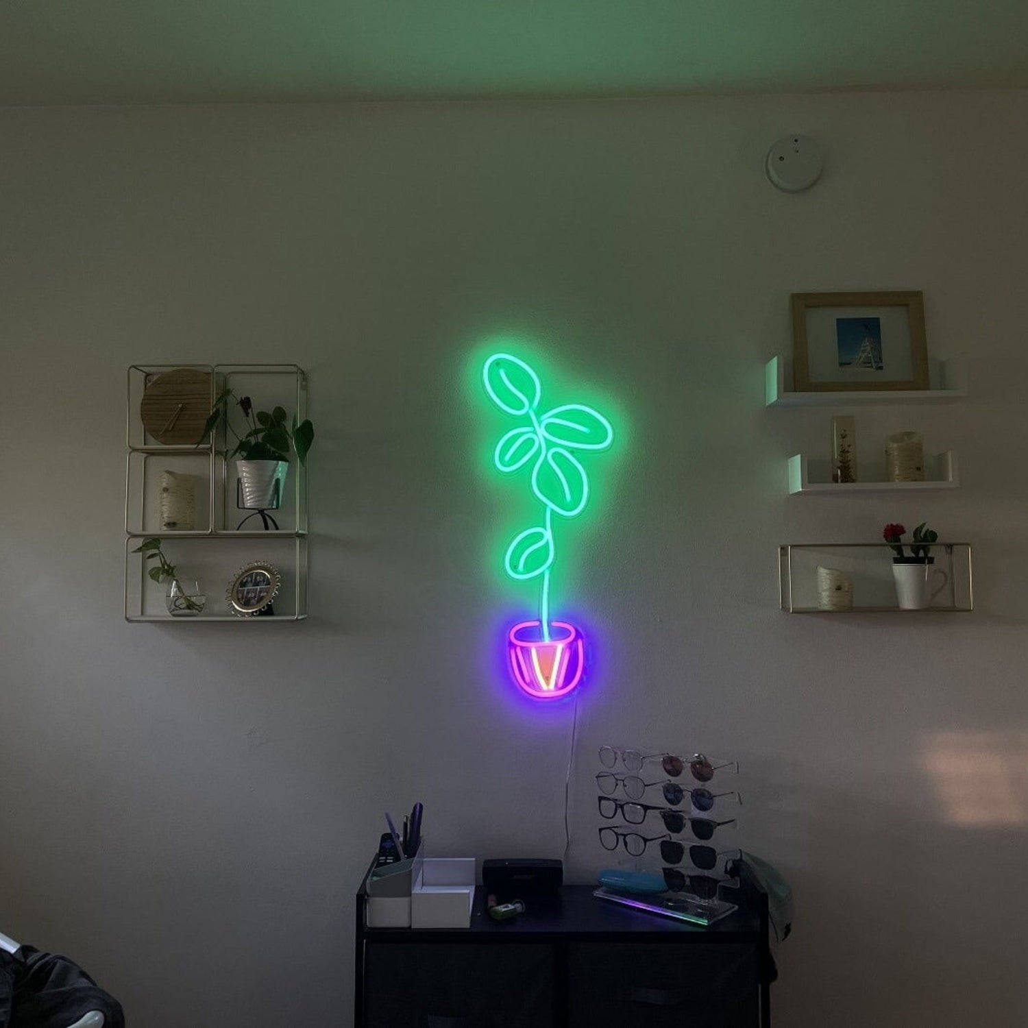Fiddle Leaf Fig Plant Led Neon Sign - Shineneon
