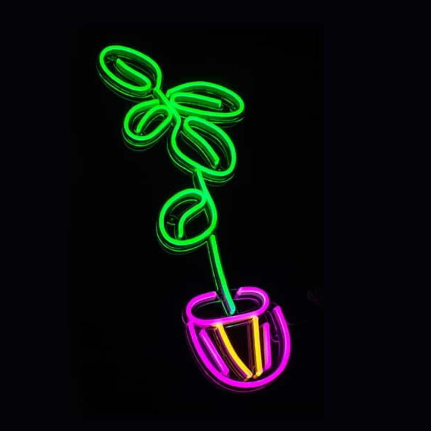 Fiddle Leaf Fig Plant Led Neon Sign - Shineneon