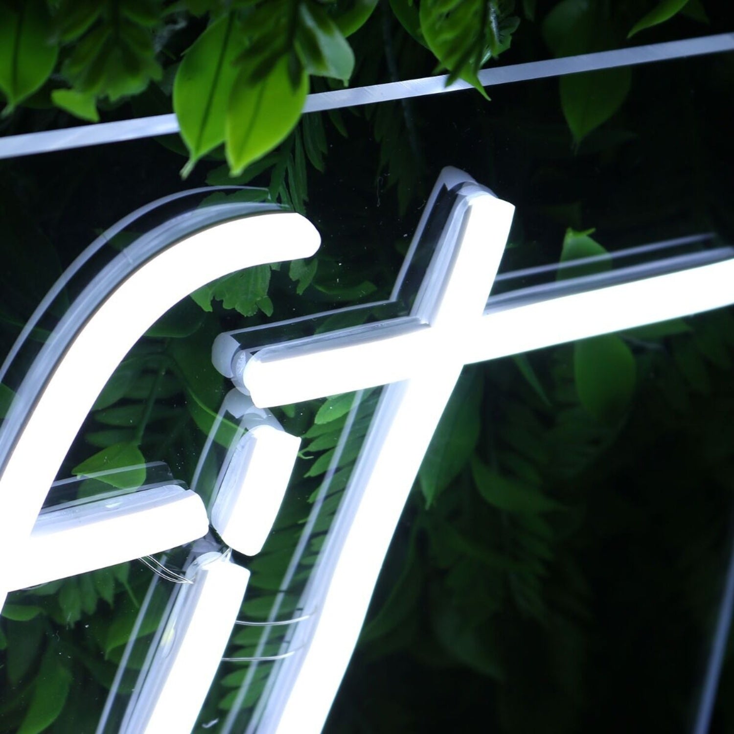 Finefit White Led Neon Sign - Shineneon