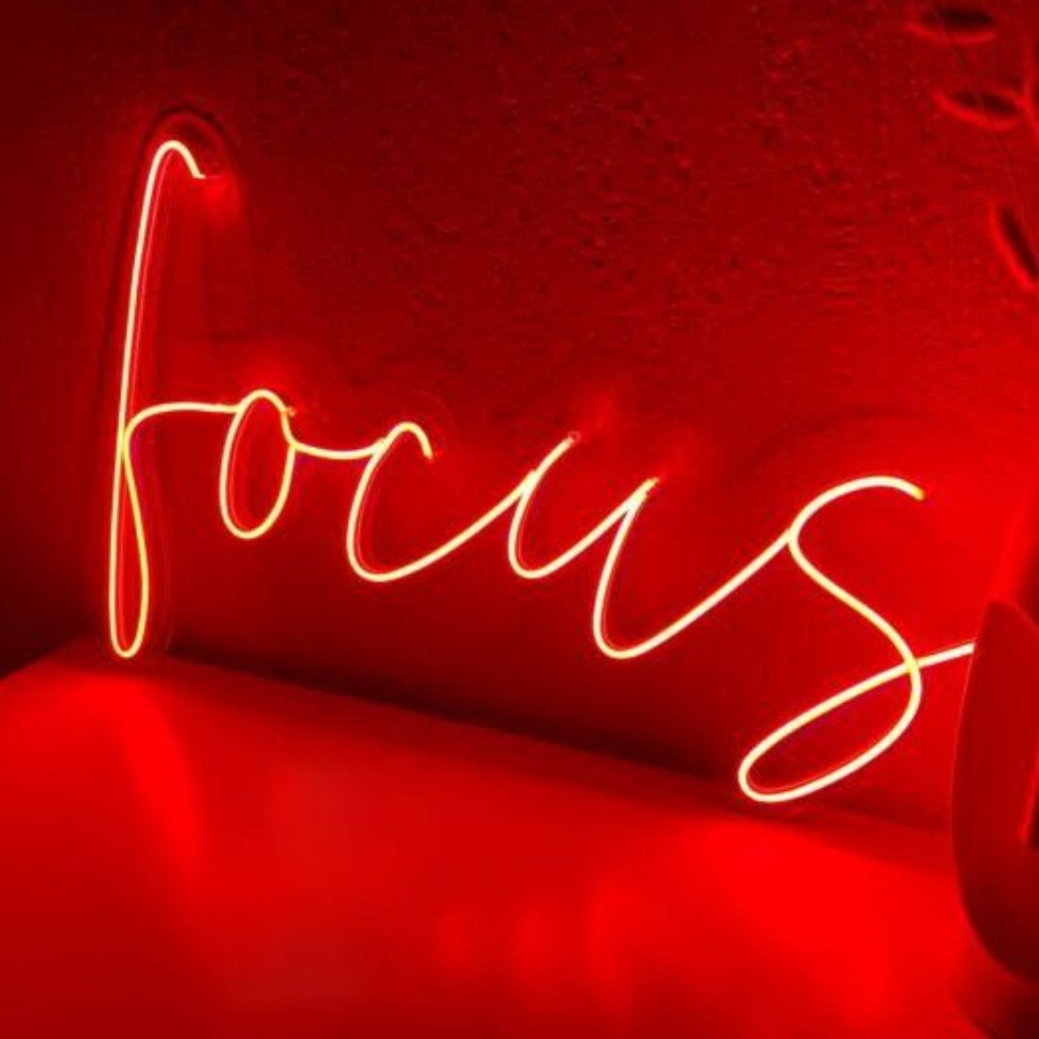Focus Led Neon Sign | Shineneon