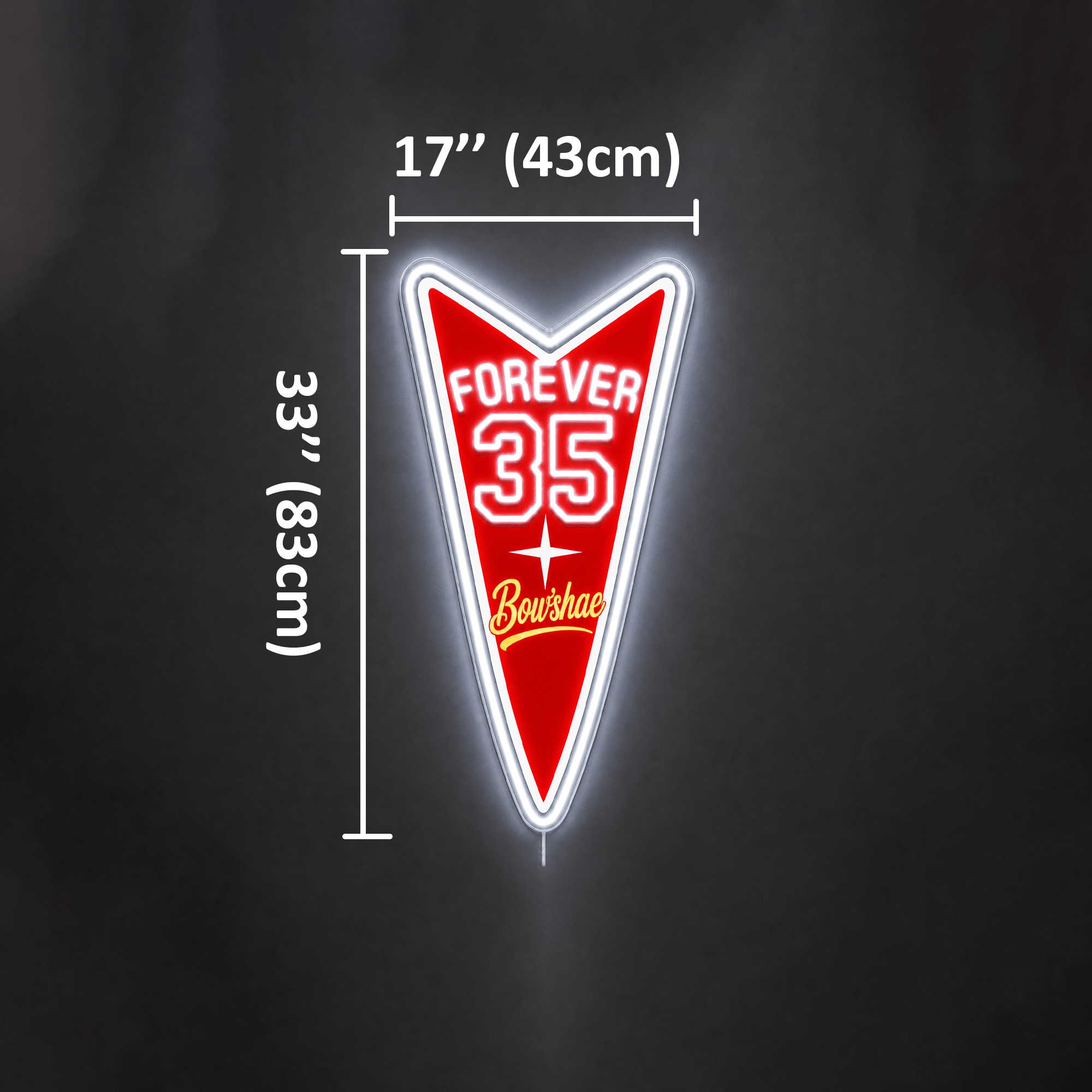 FOREVER 35 Bow'shae Custom LED Neon Sign - Shineneon